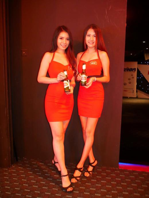 Lots of ice cold Stella Artois awaiting us there