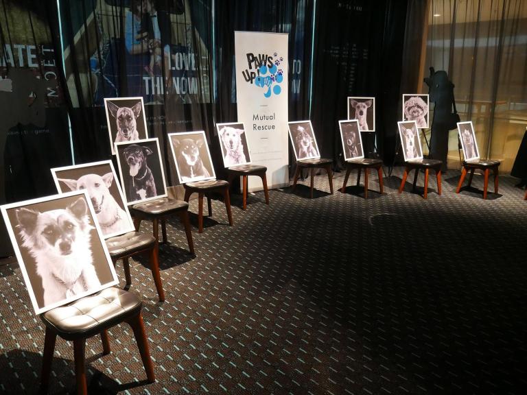 15974931_10155602523705278_2660773894468826578_o