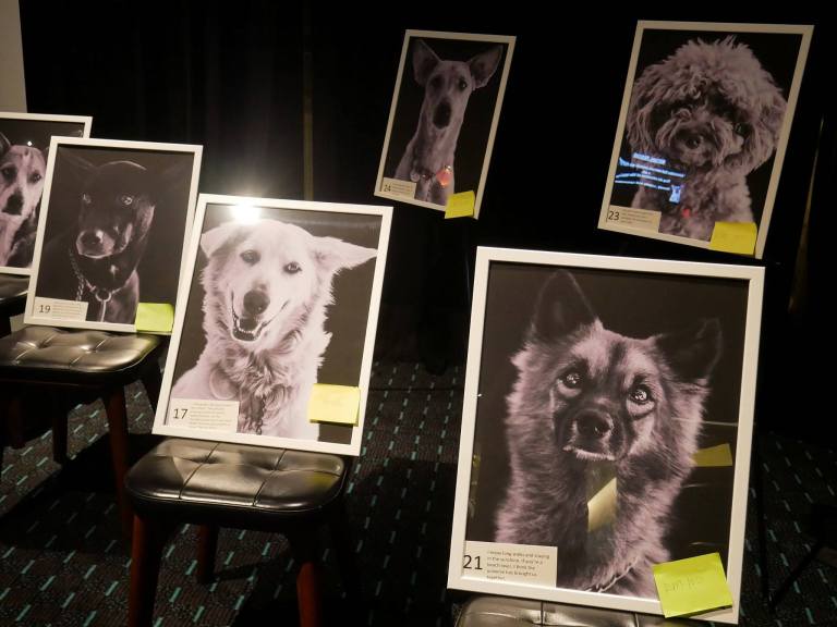 15994475_10155602516780278_9049417556126210130_o