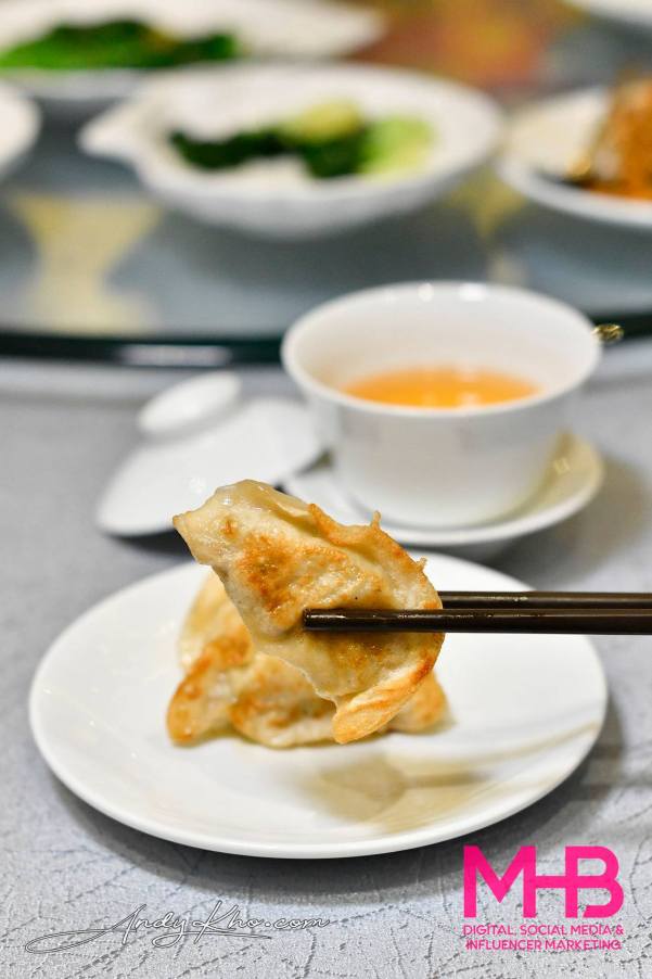 Fried dumplings