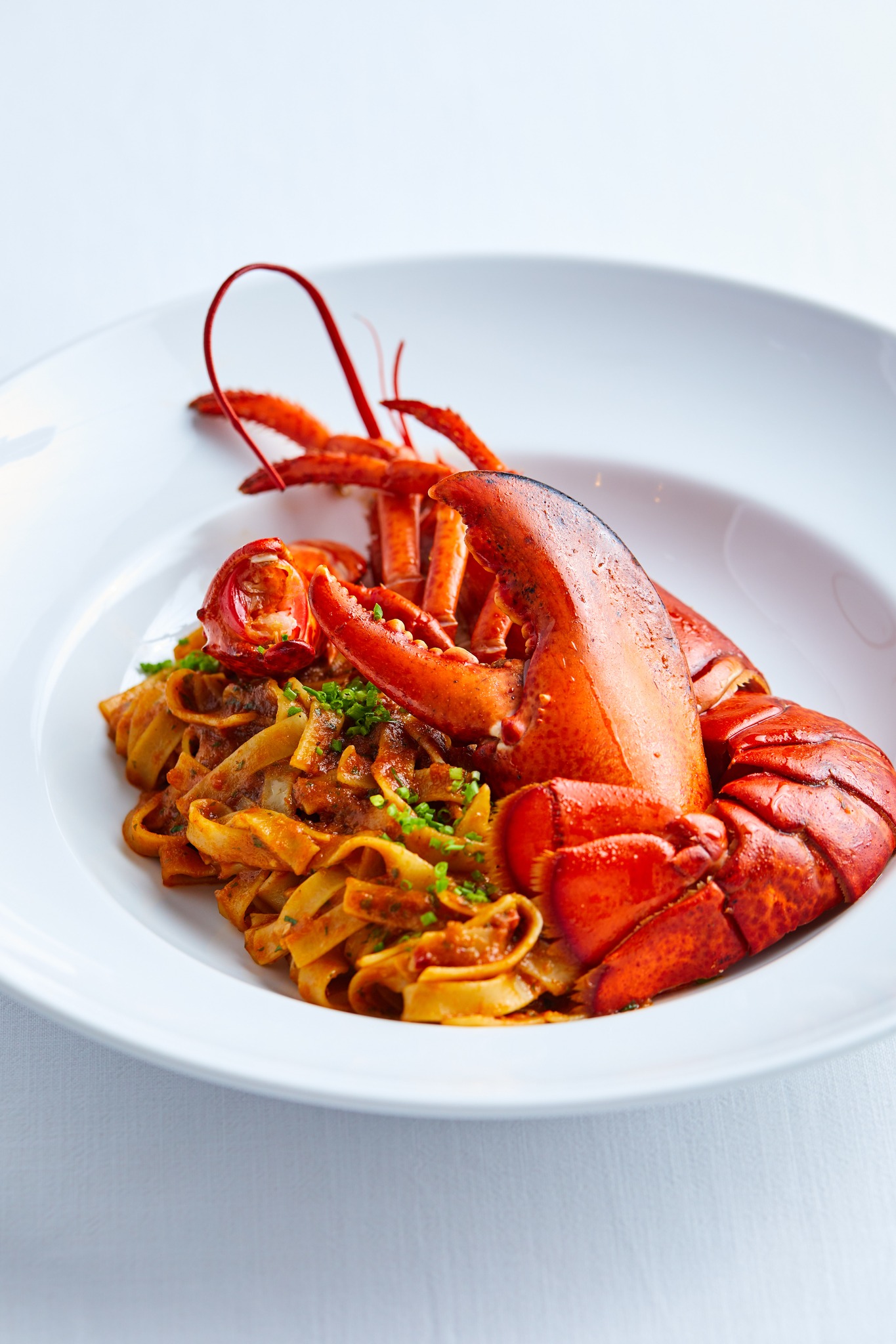Boston Lobster Tagliatelle